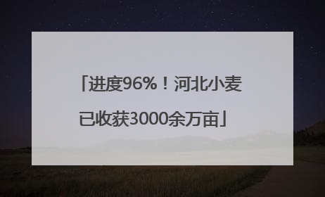 进度96%！河北小麦已收获3000余万亩