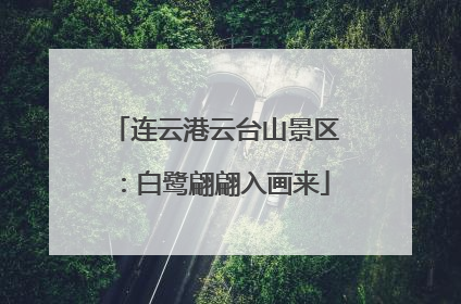 连云港云台山景区：白鹭翩翩入画来