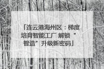 连云港海州区：梯度培育智能工厂 解锁“智造”升级新密码