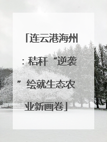 连云港海州：秸秆“逆袭”绘就生态农业新画卷