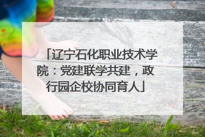 辽宁石化职业技术学院：党建联学共建，政行园企校协同育人