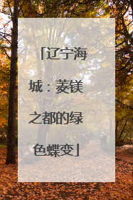 辽宁海城：菱镁之都的绿色蝶变