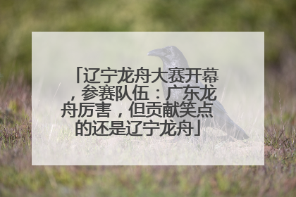 辽宁龙舟大赛开幕，参赛队伍：广东龙舟厉害，但贡献笑点的还是辽宁龙舟