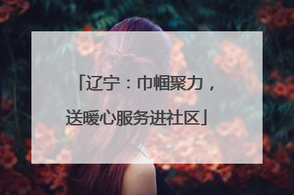 辽宁：巾帼聚力，送暖心服务进社区