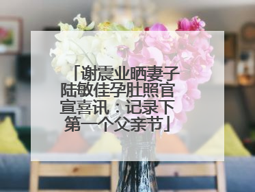谢震业晒妻子陆敏佳孕肚照官宣喜讯：记录下第一个父亲节