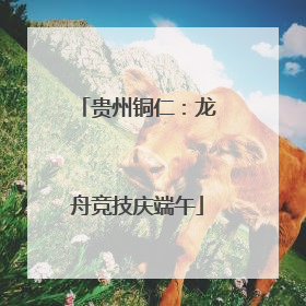 贵州铜仁：龙舟竞技庆端午