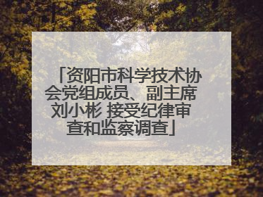 资阳市科学技术协会党组成员、副主席刘小彬 接受纪律审查和监察调查