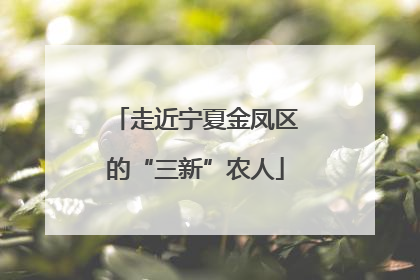 走近宁夏金凤区的“三新”农人