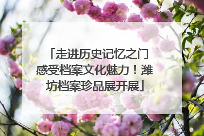 走进历史记忆之门 感受档案文化魅力！潍坊档案珍品展开展