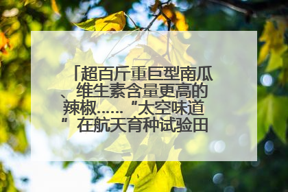 超百斤重巨型南瓜、维生素含量更高的辣椒……“太空味道”在航天育种试验田里拔节生长