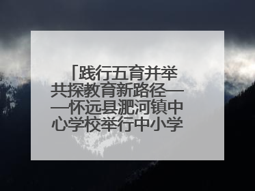 践行五育并举 共探教育新路径——怀远县淝河镇中心学校举行中小学、幼儿园班主任论坛活动