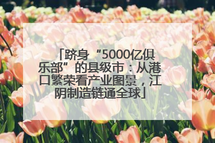 跻身“5000亿俱乐部”的县级市：从港口繁荣看产业图景，江阴制造链通全球