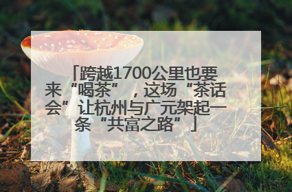 跨越1700公里也要来“喝茶”，这场“茶话会”让杭州与广元架起一条“共富之路”