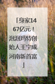 身家1467亿元！泡泡玛特创始人王宁成河南新首富