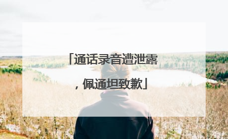 通话录音遭泄露，佩通坦致歉