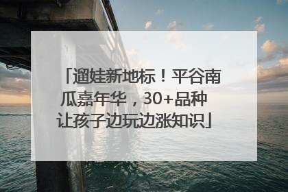 遛娃新地标！平谷南瓜嘉年华，30+品种让孩子边玩边涨知识