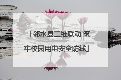 邻水县三维联动 筑牢校园用电安全防线