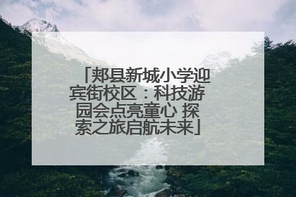 郏县新城小学迎宾街校区：科技游园会点亮童心 探索之旅启航未来