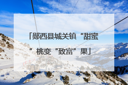 郧西县城关镇“甜蜜”桃变“致富”果