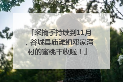 采摘季持续到11月，谷城县庙滩镇邓家湾村的蜜桃丰收啦！