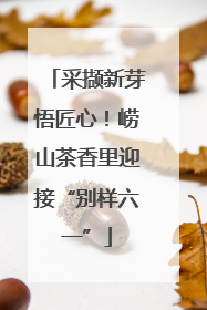 采撷新芽悟匠心！崂山茶香里迎接“别样六一”