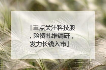 重点关注科技股，险资扎堆调研，发力长钱入市