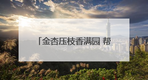 金杏压枝香满园 帮扶结出“幸福果”