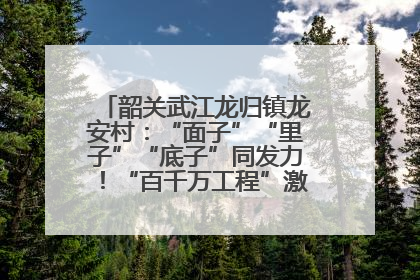 韶关武江龙归镇龙安村：“面子”“里子”“底子”同发力！“百千万工程”激活乡村新动能