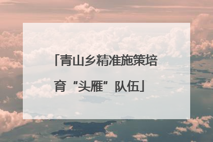 青山乡精准施策培育“头雁”队伍