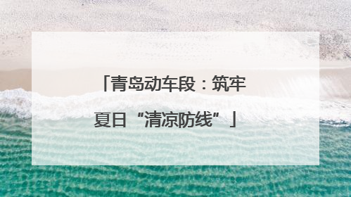 青岛动车段：筑牢夏日“清凉防线”