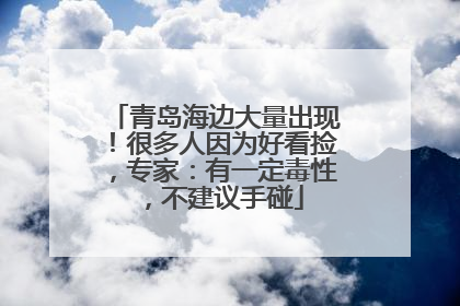 青岛海边大量出现！很多人因为好看捡，专家：有一定毒性，不建议手碰