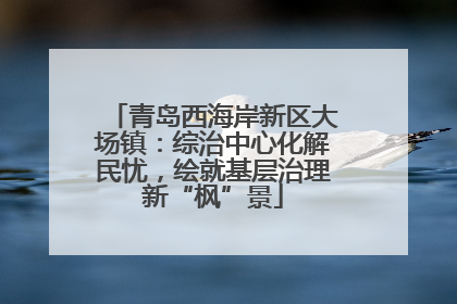 青岛西海岸新区大场镇：综治中心化解民忧，绘就基层治理新“枫”景