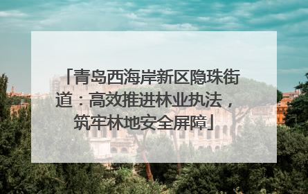 青岛西海岸新区隐珠街道：高效推进林业执法，筑牢林地安全屏障