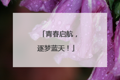 青春启航，逐梦蓝天！