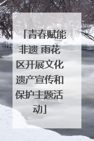 青春赋能非遗 雨花区开展文化遗产宣传和保护主题活动