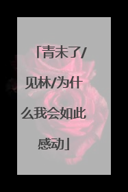 青未了/见林/为什么我会如此感动