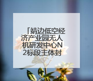 靖边低空经济产业园无人机研发中心N2标段主体封顶