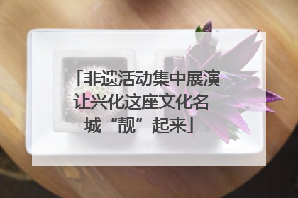 非遗活动集中展演 让兴化这座文化名城“靓”起来