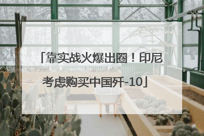 靠实战火爆出圈！印尼考虑购买中国歼-10