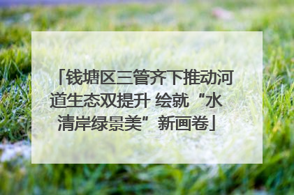 钱塘区三管齐下推动河道生态双提升 绘就“水清岸绿景美”新画卷
