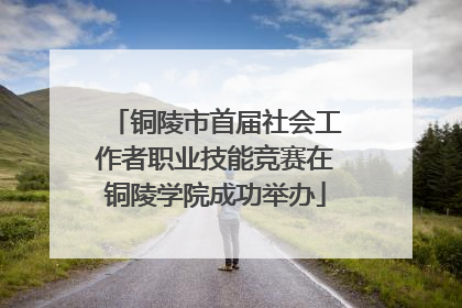 铜陵市首届社会工作者职业技能竞赛在铜陵学院成功举办