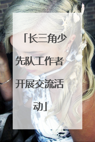 长三角少先队工作者开展交流活动