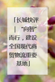 长城快评｜“向智”而行，建设全国现代商贸物流重要基地