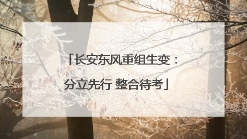 长安东风重组生变：分立先行 整合待考