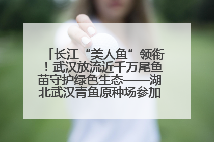 长江“美人鱼”领衔！武汉放流近千万尾鱼苗守护绿色生态——湖北武汉青鱼原种场参加2025年“全国放鱼日”增殖放流活动