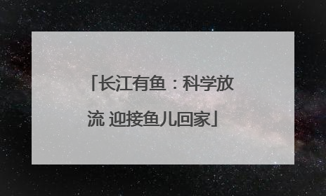 长江有鱼：科学放流 迎接鱼儿回家