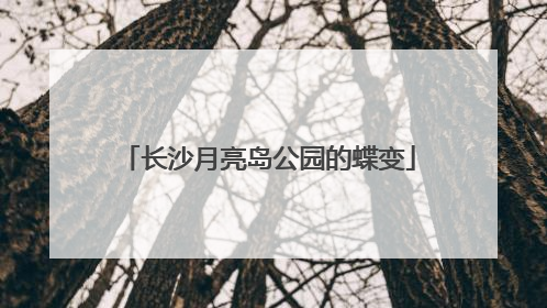 长沙月亮岛公园的蝶变