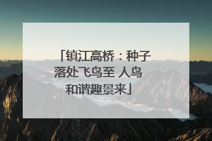 镇江高桥：种子落处飞鸟至 人鸟和谐趣景来