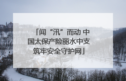 闻“汛”而动 中国太保产险丽水中支筑牢安全守护网