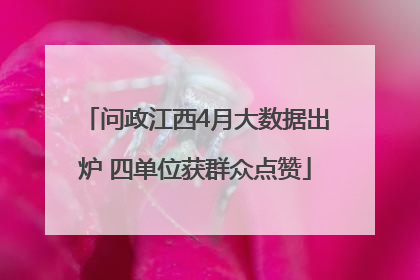 问政江西4月大数据出炉 四单位获群众点赞